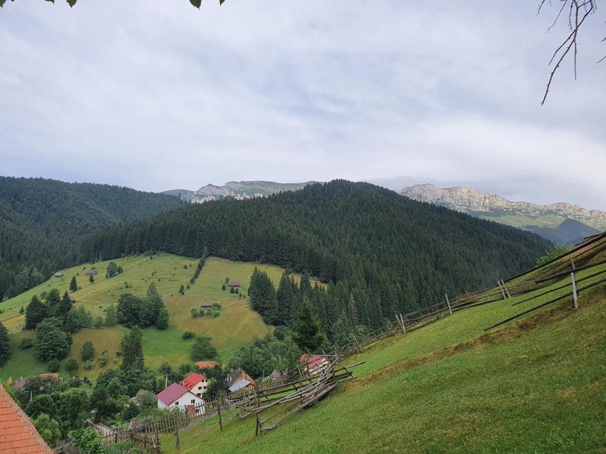 Alegria - Moieciu De Sus Moeciu De Sus Exterior foto