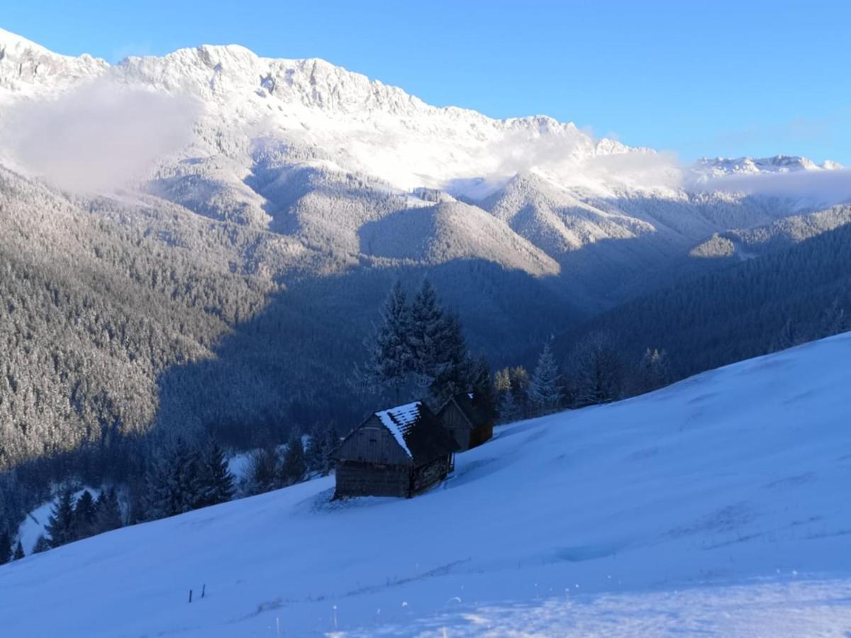 Alegria - Moieciu De Sus Moeciu De Sus Exterior foto