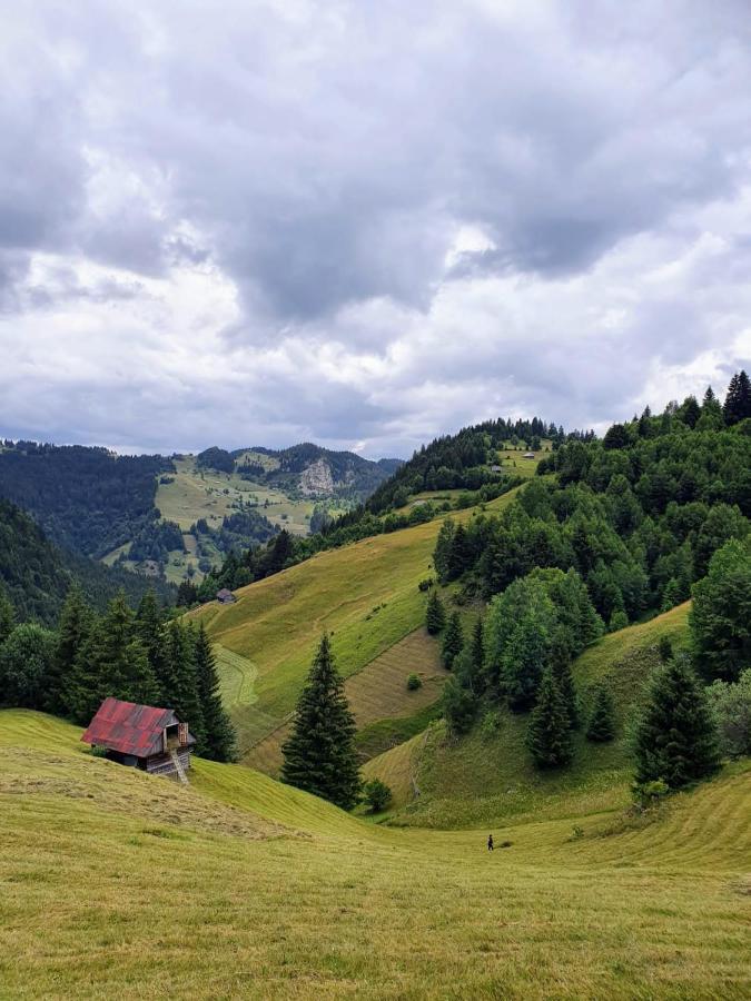 Alegria - Moieciu De Sus Moeciu De Sus Exterior foto