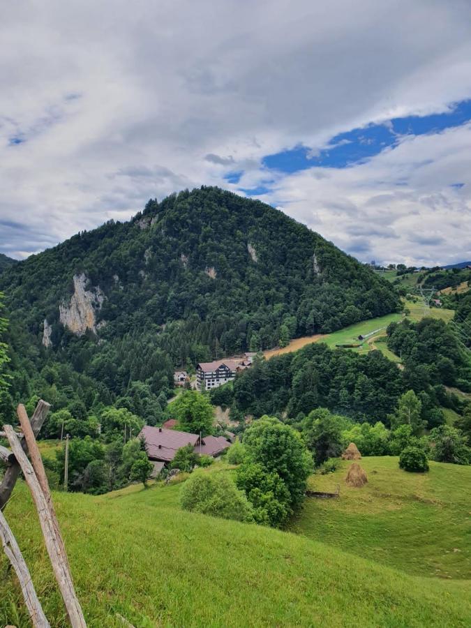 Alegria - Moieciu De Sus Moeciu De Sus Exterior foto