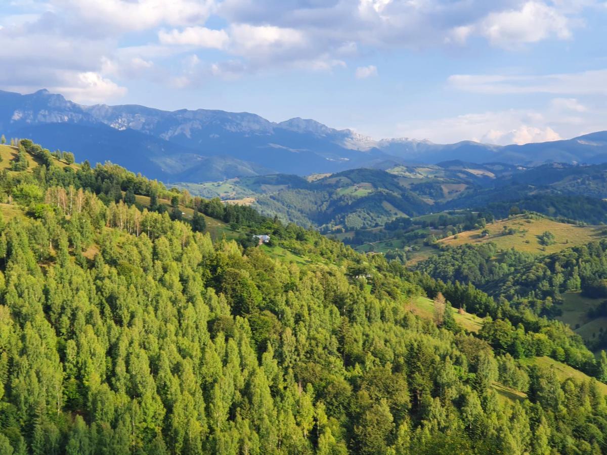 Alegria - Moieciu De Sus Moeciu De Sus Exterior foto