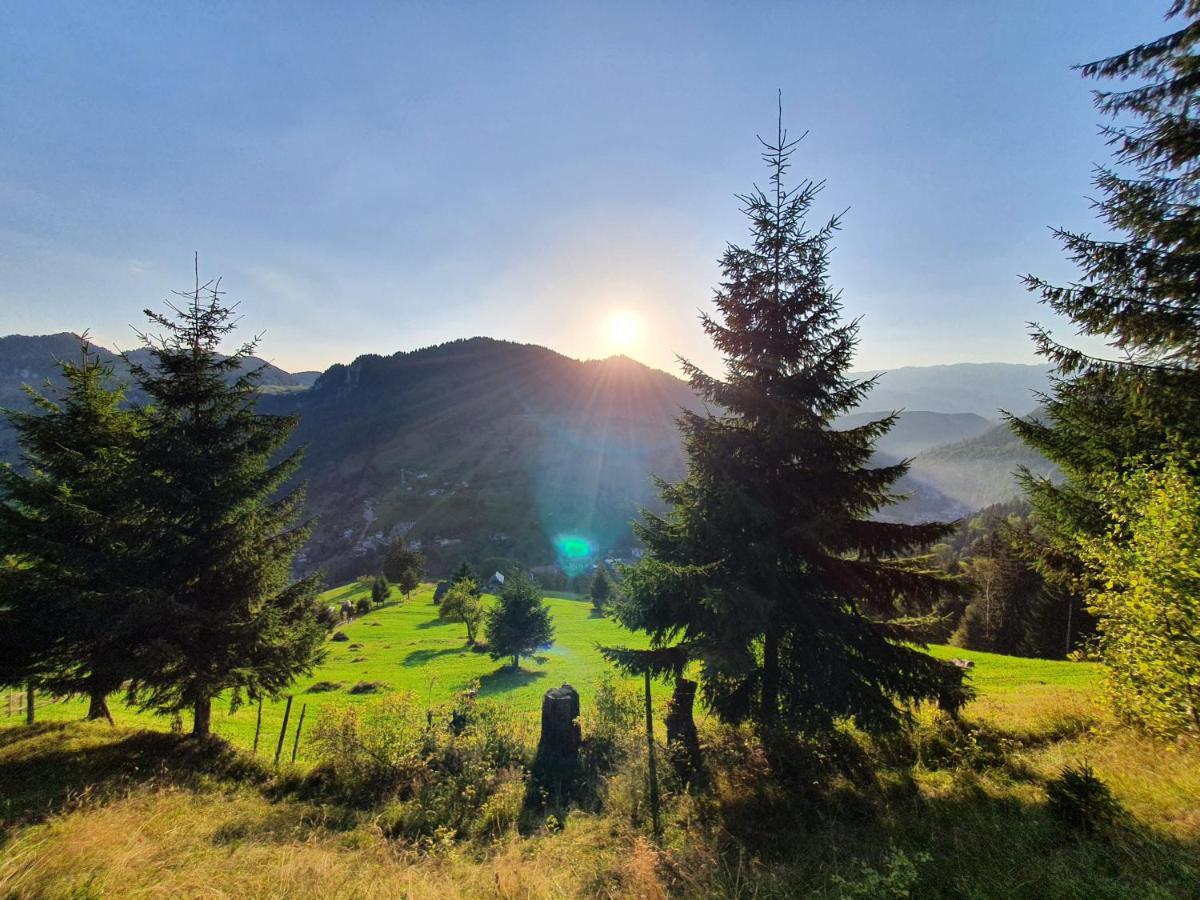 Alegria - Moieciu De Sus Moeciu De Sus Exterior foto