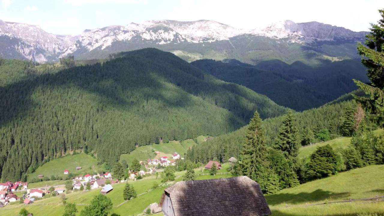 Alegria - Moieciu De Sus Moeciu De Sus Exterior foto